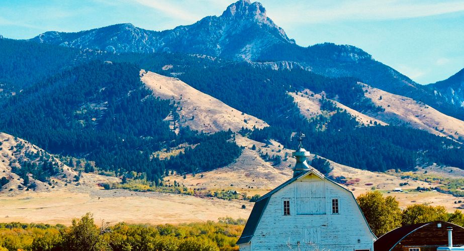 Wild USA Nieuw 10 Wild USA Nieuw 10